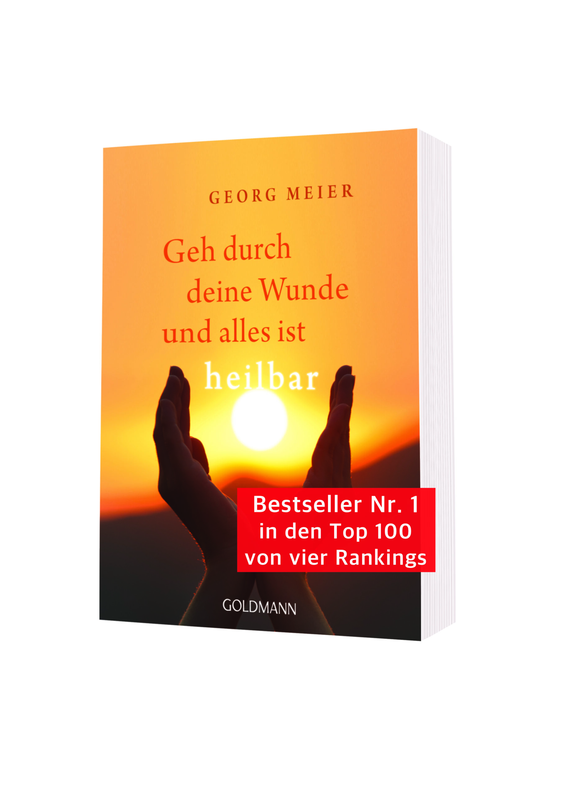 Buch Georg Meier